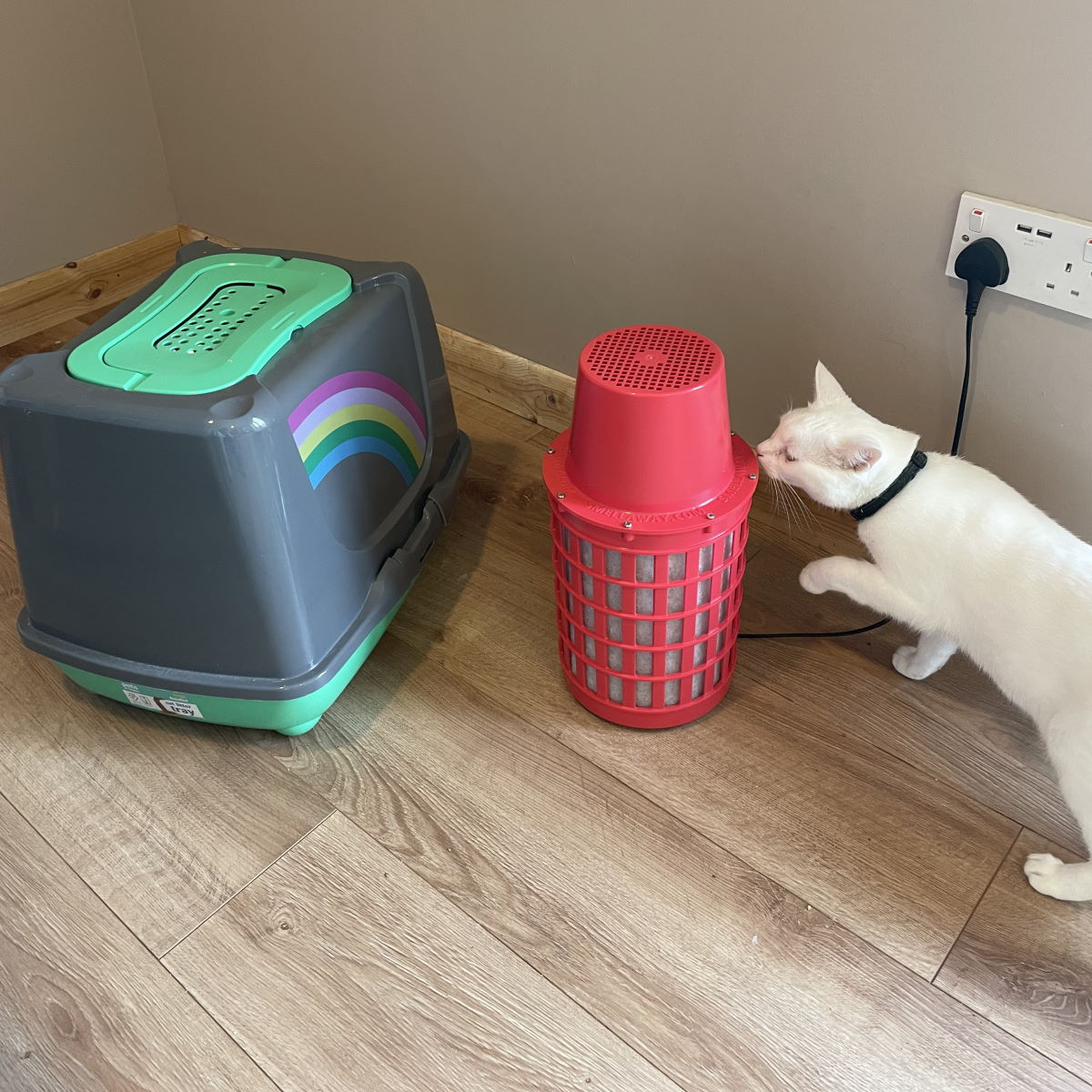 Smell Away® Odour Neutraliser early prototype working next to cat litter tray and Bea the cat